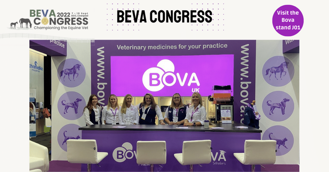 BOVA UK WINS AT BEVA CONGRESS! 