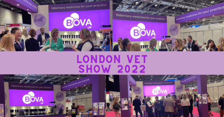 London Vet Show 2022 - Bova stand with people