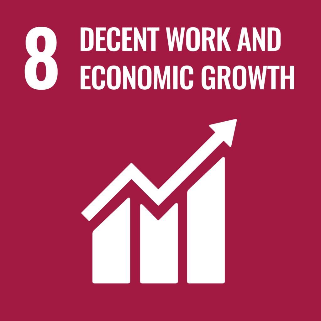 Sustainability - People - Decent work and economic growth 