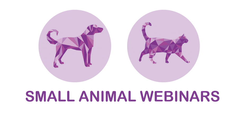 free small animal webinars