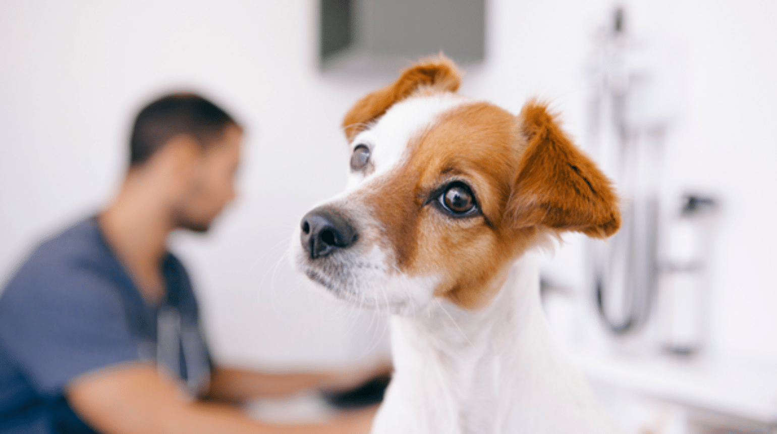Antimicrobial stewardship – how you can make a difference (2019)
