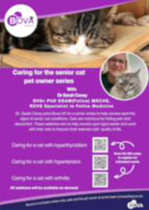 Caring for the senior cat pet owner series downloads