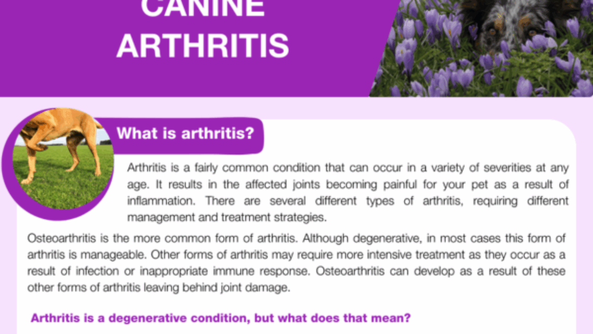 Canine arthritis