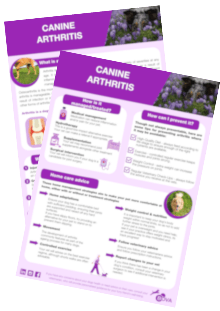 Canine-Arthritis-Downloads