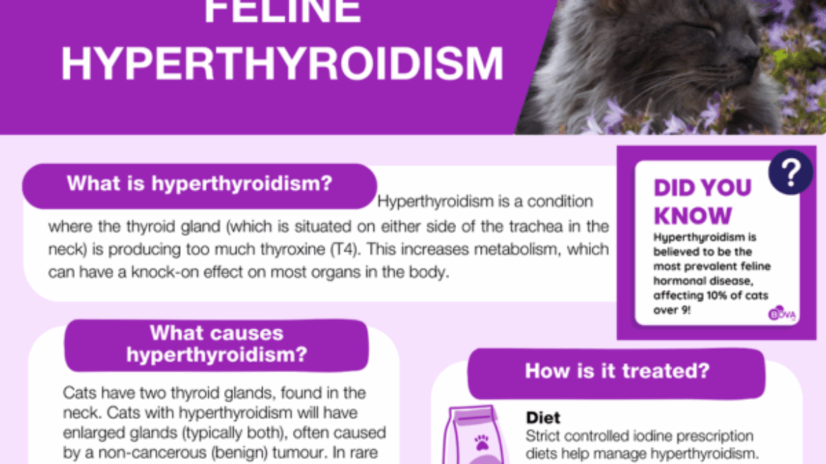Feline hyperthyroidism