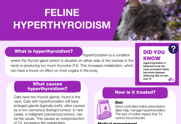 FELINE HYPERTHYROIDISM