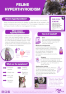 Feline hyperthyroidism download