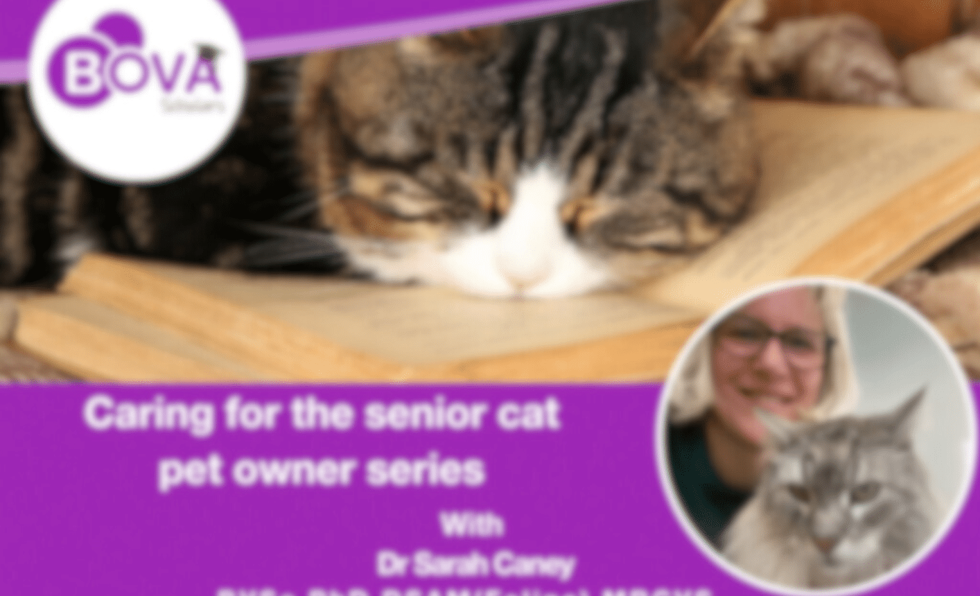 Caring for the senior cat pet owner series – Dr. Caney (2023)