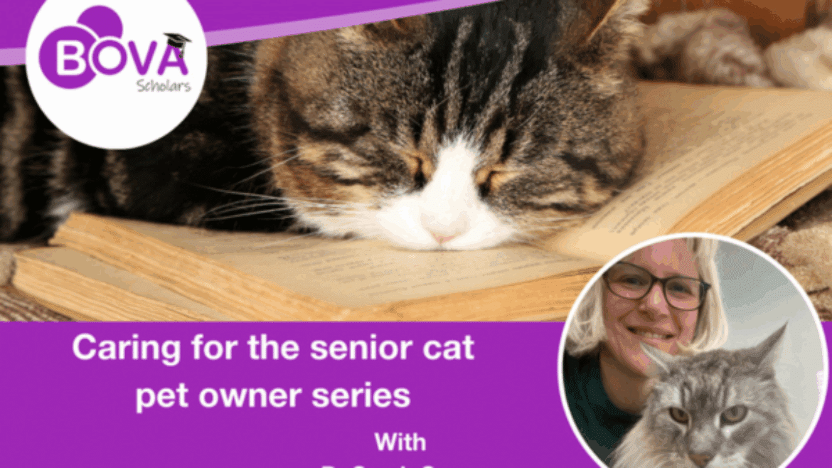 Caring for the senior cat pet owner series – Dr. Caney