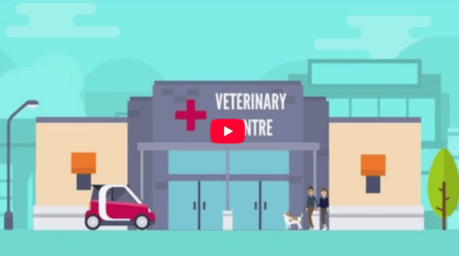 WATCH: “Protect Me” Vet Training Video by Fergus Allerton