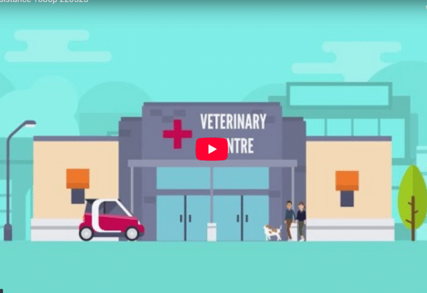 protect-me-vet-training-by-Fergus-Allerton-feature