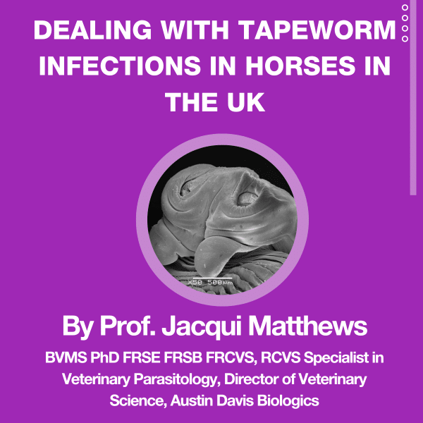 BOVA Blog - Dealing with tapeworm infections in horses in the UK