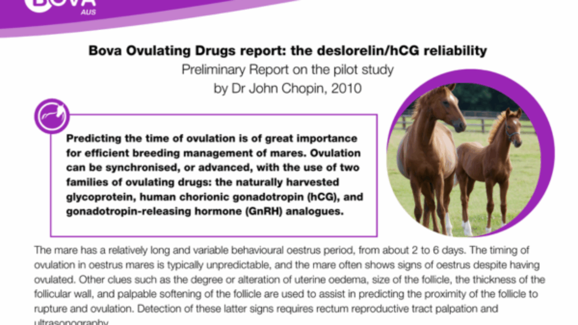 Bova Ovulating Drugs report: the deslorelin/hCG reliability