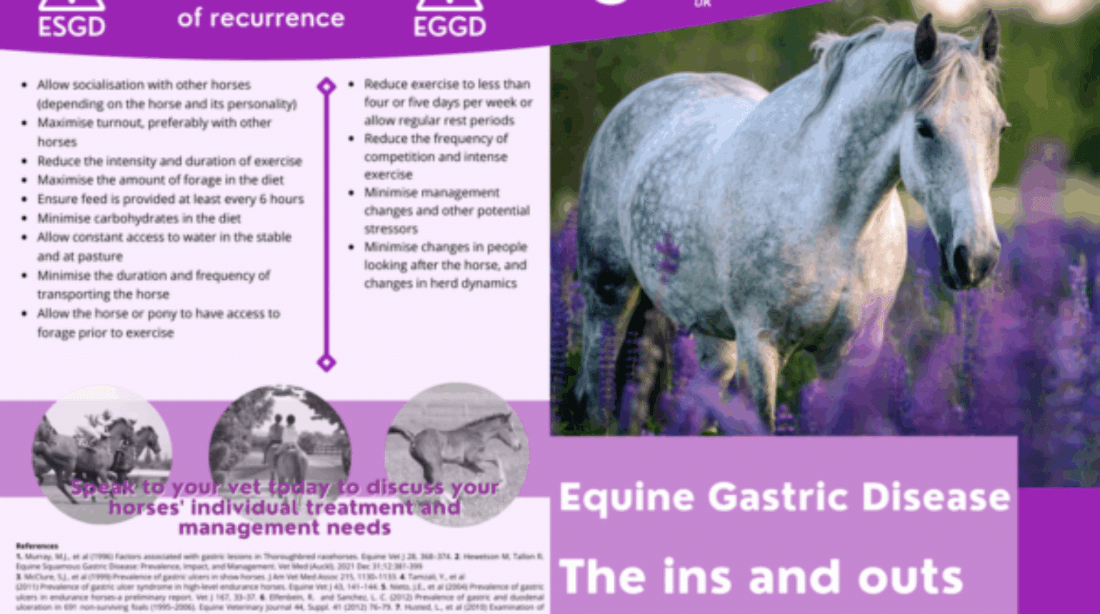 Equine Gastric Disease The ins and outs