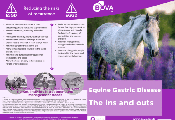 Equine Gastric Disease The ins and outs
