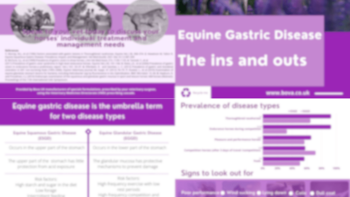 Equine Gastric Disease The ins and outs (2024)