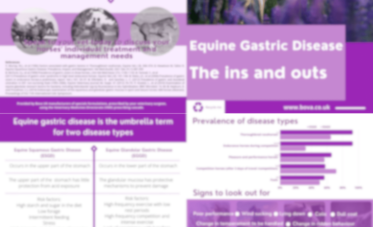 Equine Gastric Disease The ins and outs (2024)