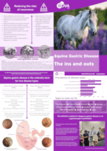 Equine Gastric Disease The ins and outs (2024)