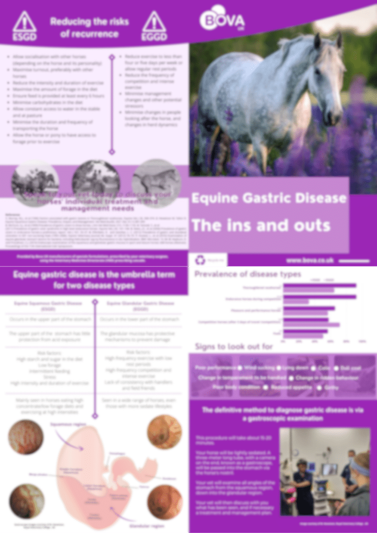 Equine Gastric Disease The ins and outs downloads