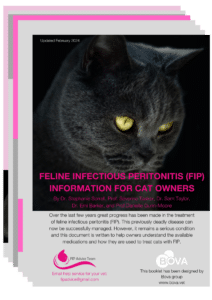 FIP Information for cat owners