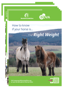  horse right weight