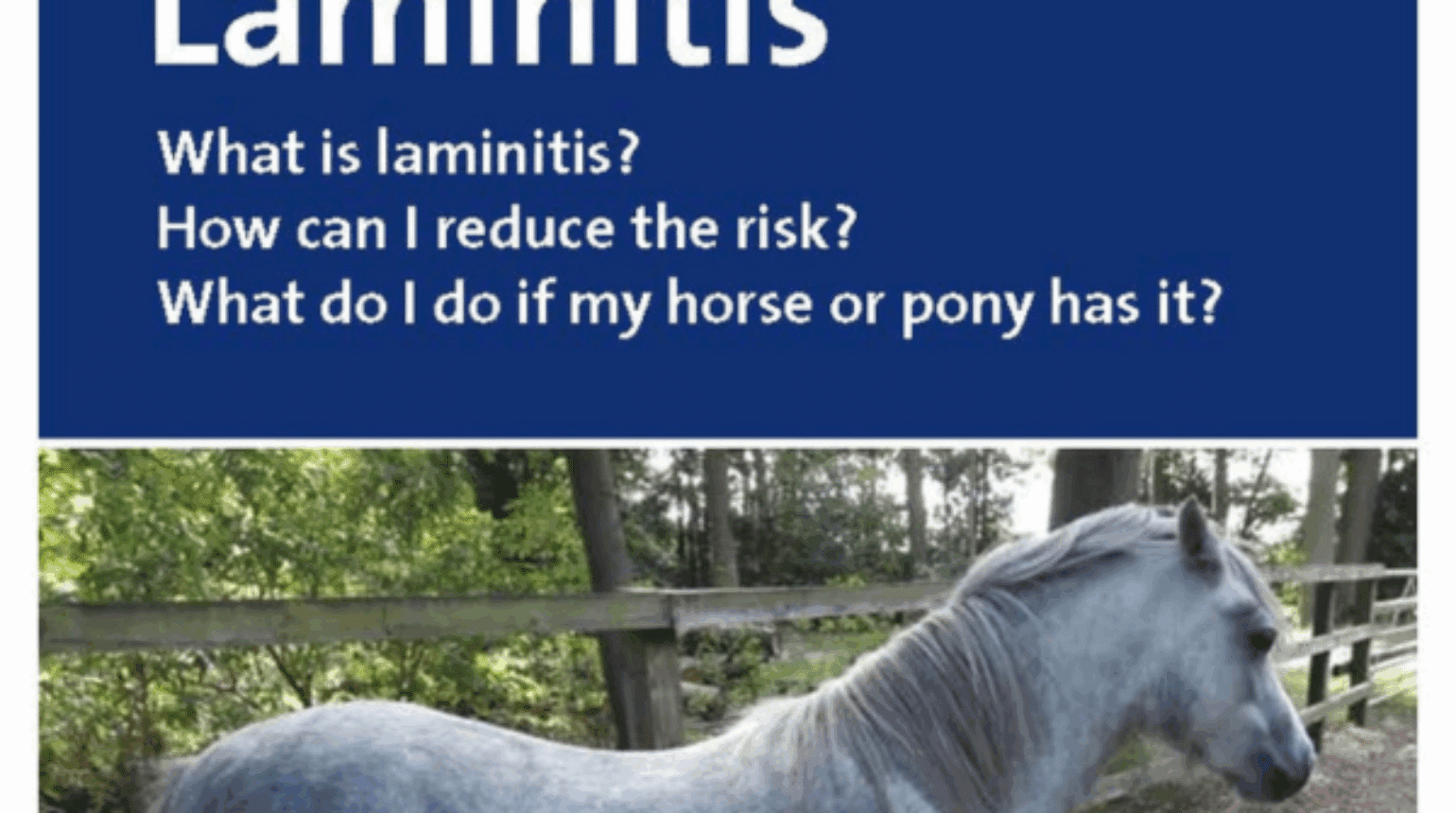 Laminitis