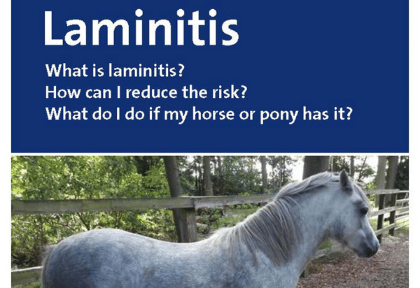 Laminitis