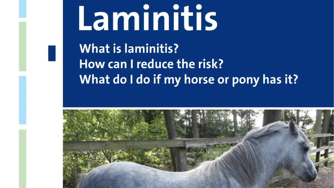 Laminitis (2024)