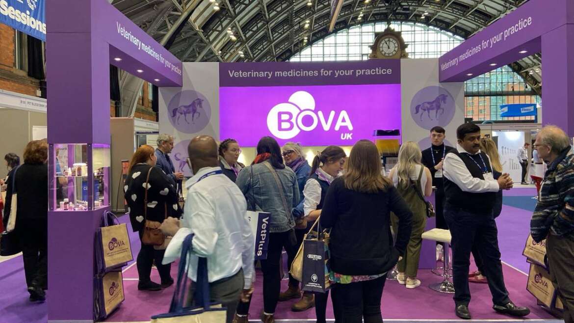 BOVA UK was at the BSAVA Congress 2024