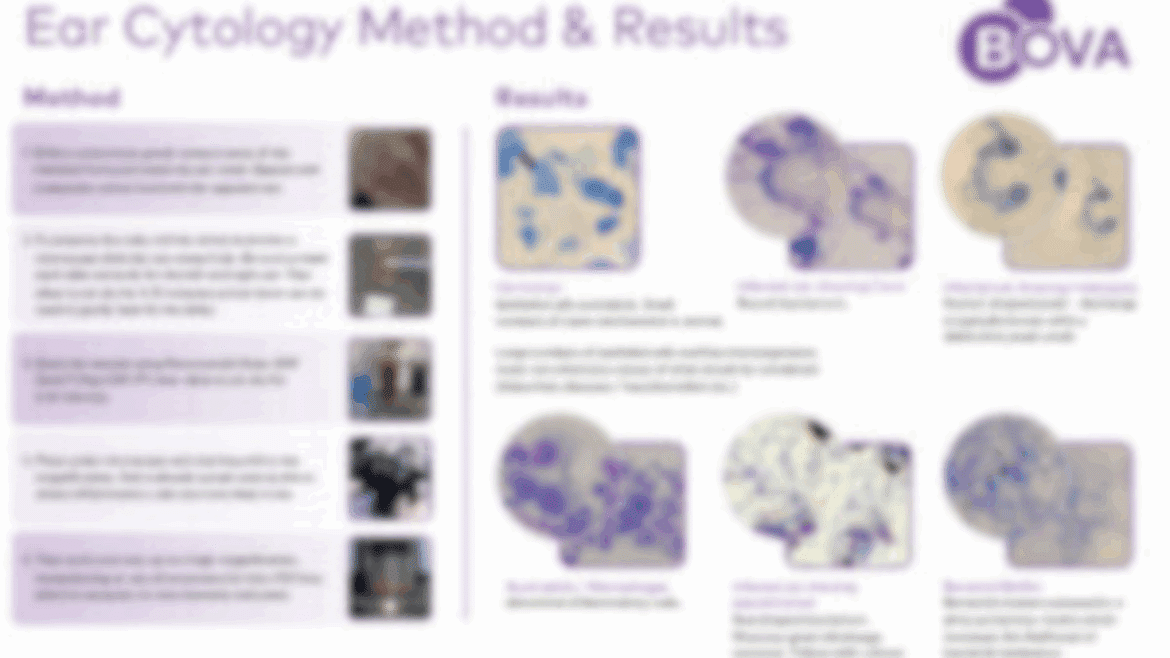Cytology Wall Chart