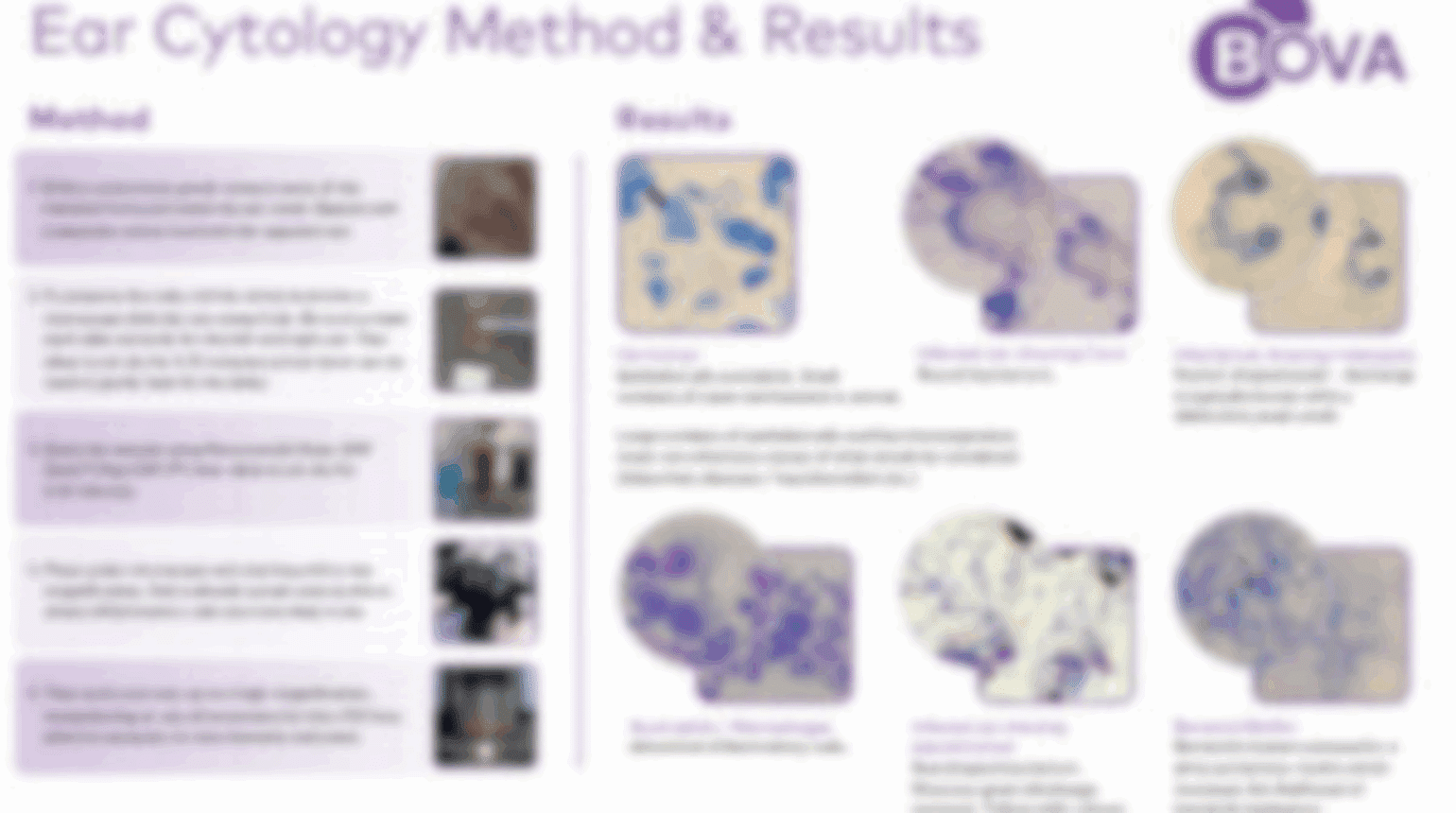 Cytology Wall Chart