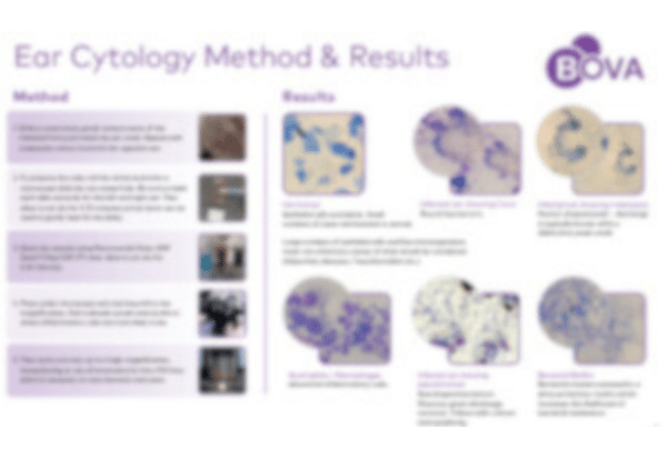 Cytology Wall Chart