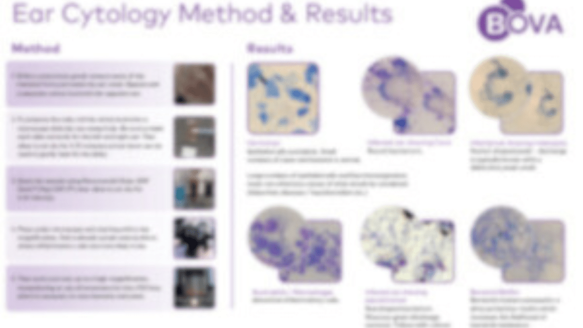 Cytology Wall Chart