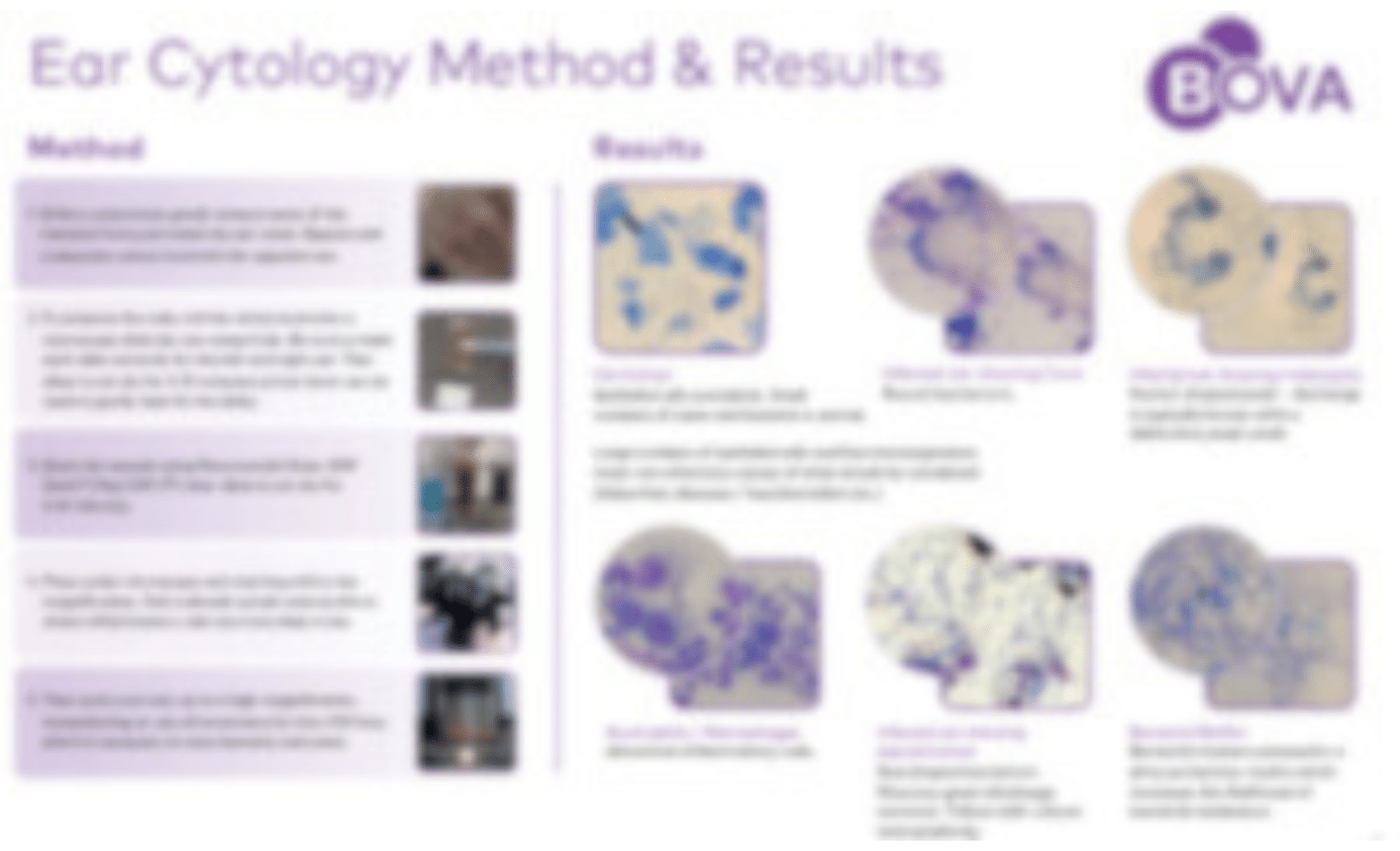 Cytology Wall Chart