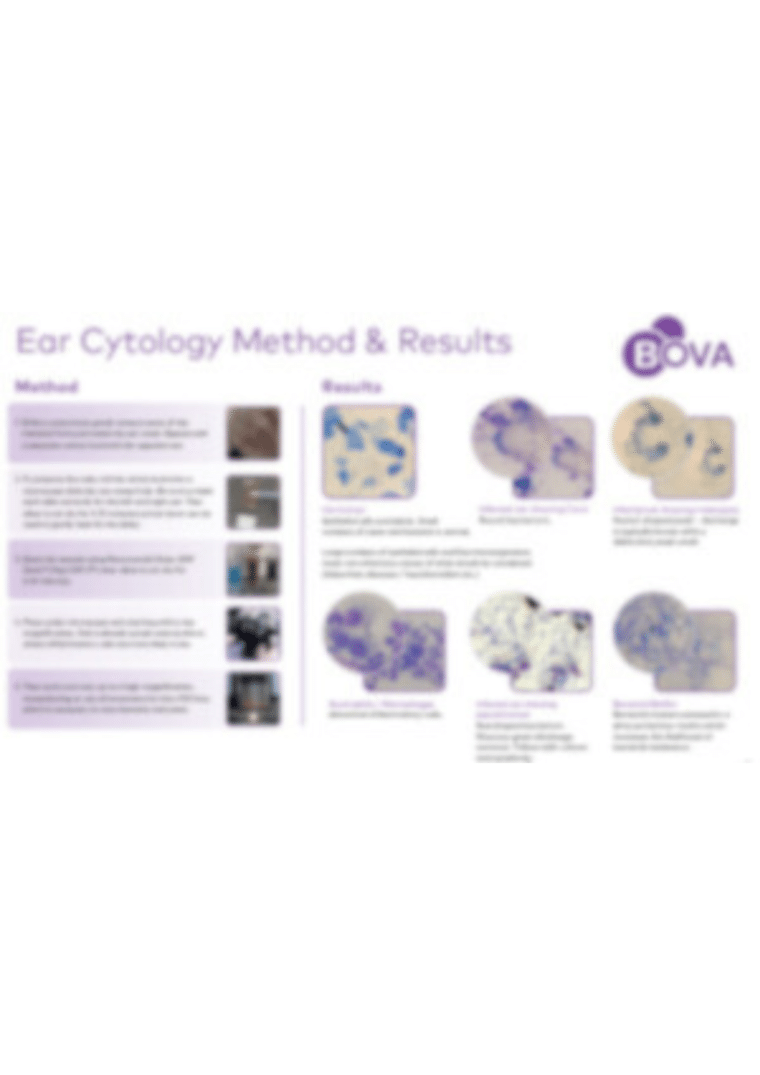 Cytology Wall Chart