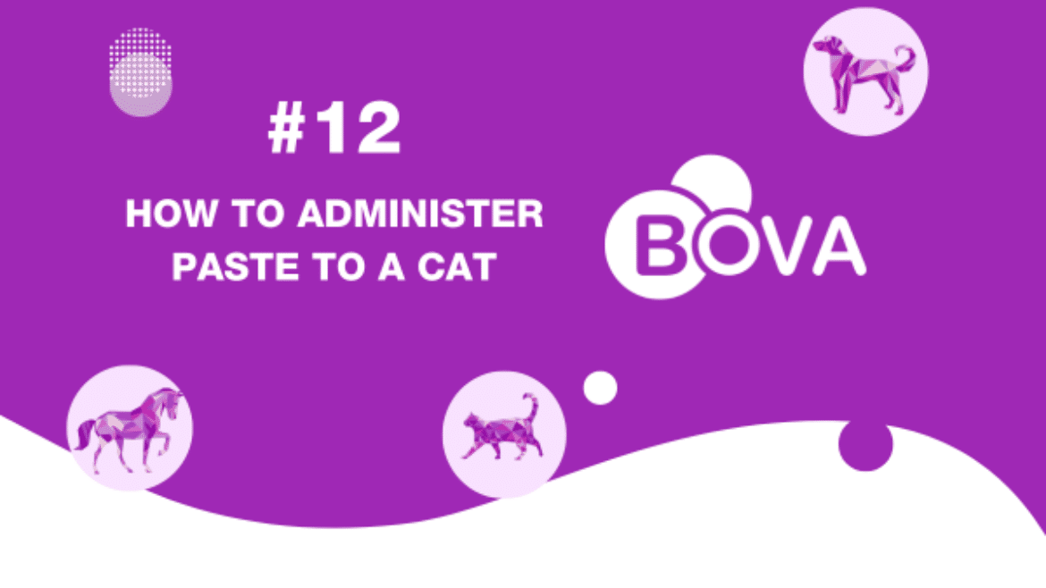 #12 How to administer paste to a cat