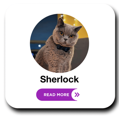 Sherlock profile picture