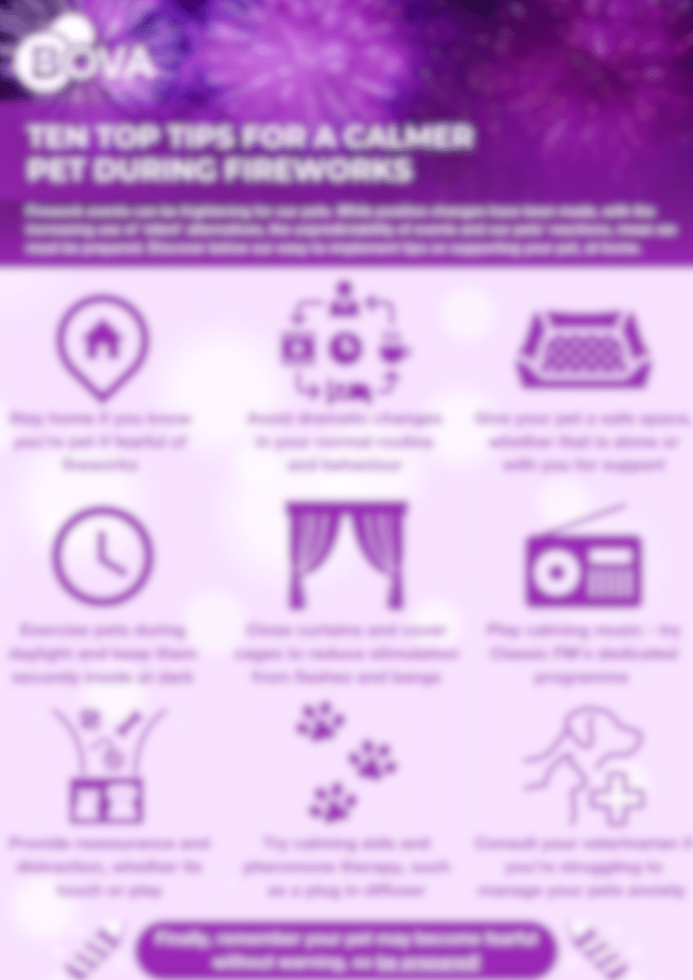 Ten Top Tips for a Calmer Pet During Fireworks