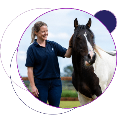 Sara Hemingfield, Field Office, World Horse Welfare