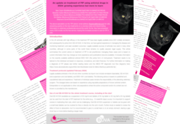 Feline Infectious Peritonitis (FIP) Information for cat owners