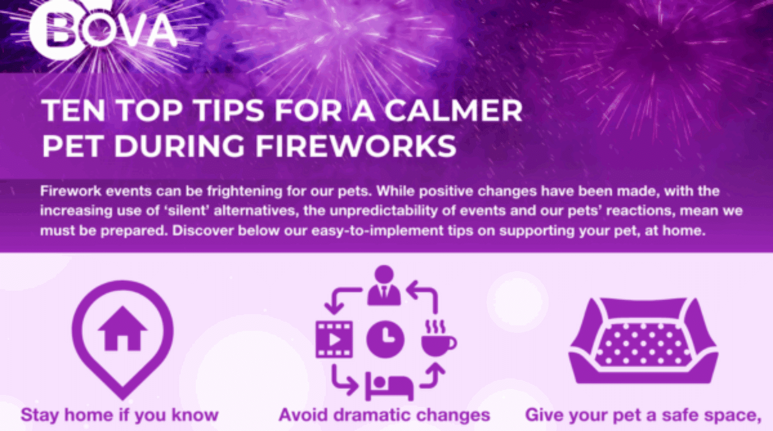 Ten Top Tips for a Calmer Pet During Fireworks