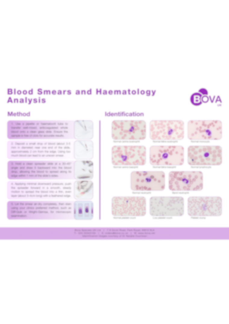 Blood Smears and Haematology Analysis