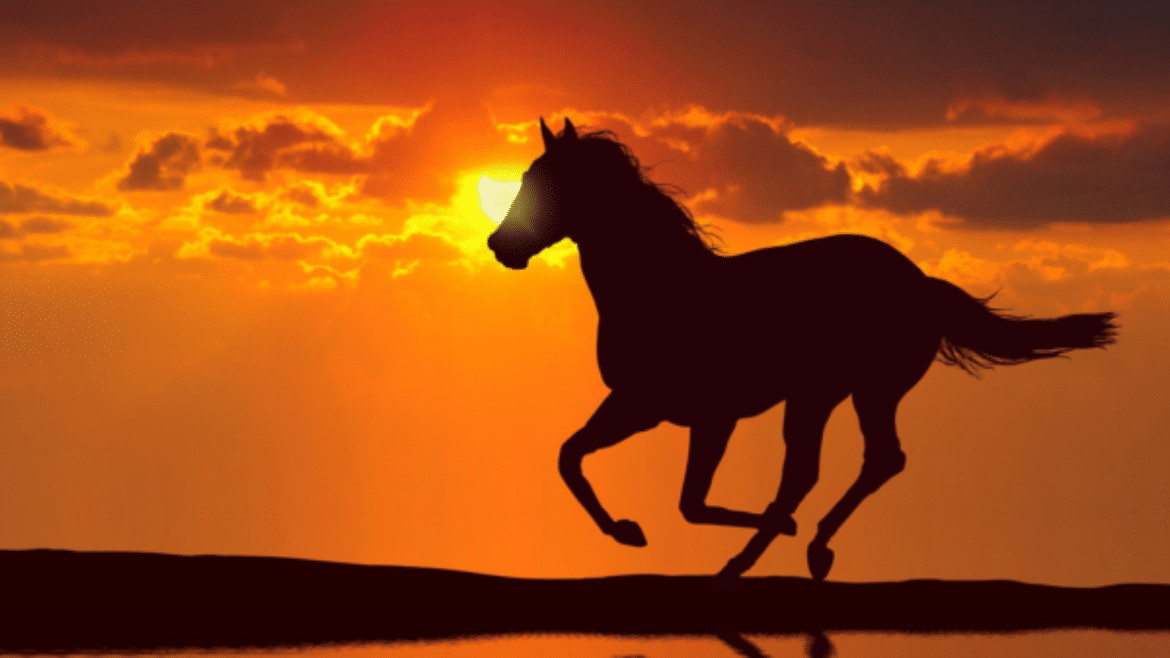 Psychopharmaceuticals in Equine Practice: Enhancing Wellbeing and Managing Anxiety (2025)