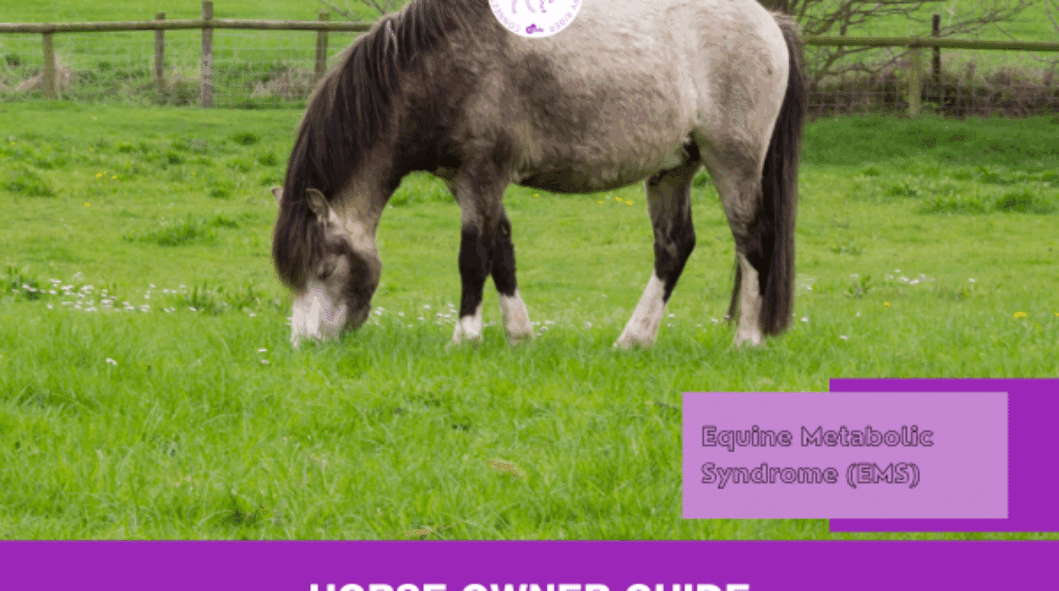 Equine Metabolic Syndrome (Horse owner guide)