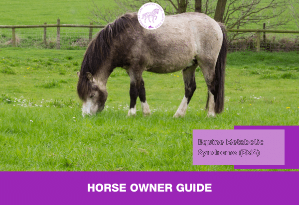 Equine Metabolic Syndrome (Horse owner guide)