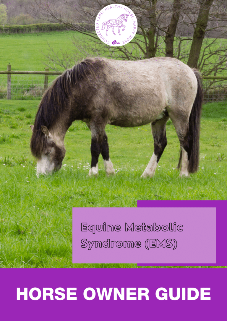 Equine Metabolic Syndrome (Horse owner guide)