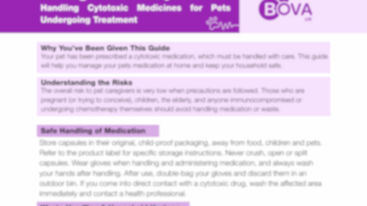 Caregiver Safety Guide