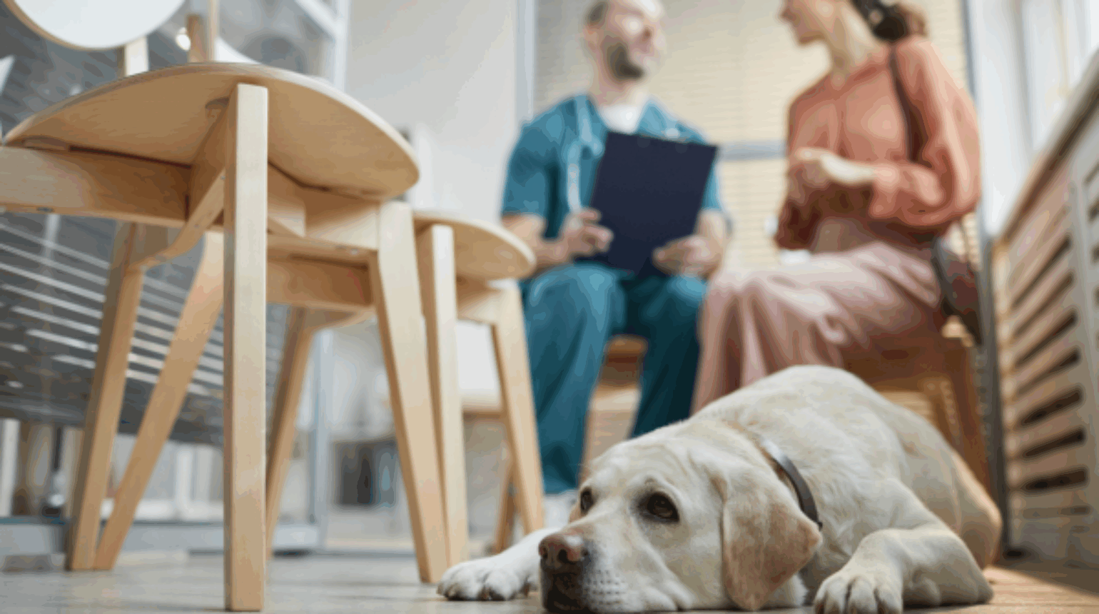 Lomustine – A very useful drug for your oncology arsenal?