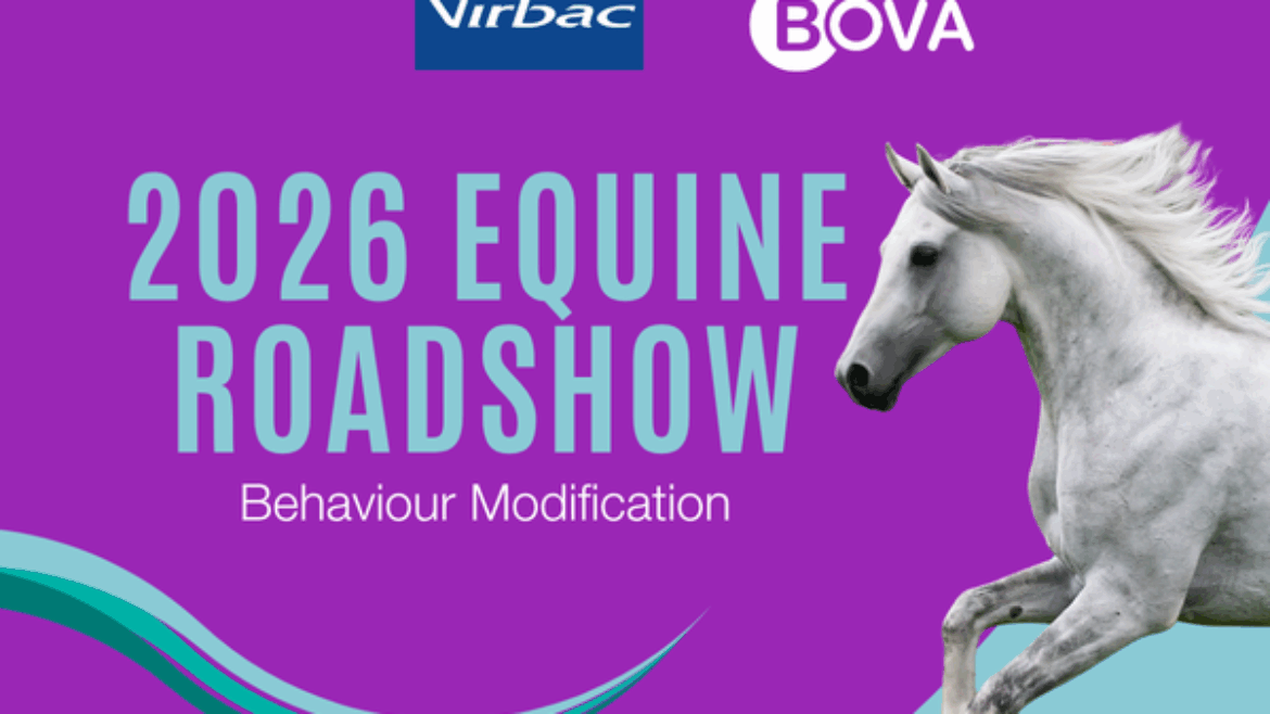 Behaviour Modification | Bova Aus Equine Roadshow 2026