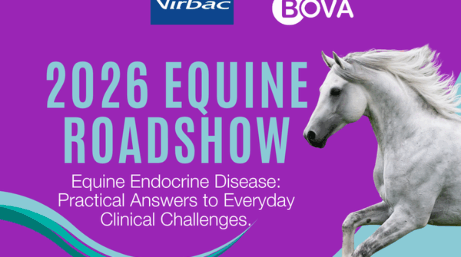 Equine Endocrine Disease: Practical Answers to Everyday Clinical Challenges | Bova Aus Equine Roadshow 2026